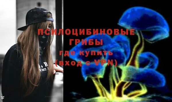 таблы Краснослободск