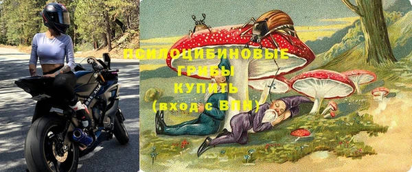 таблы Краснослободск