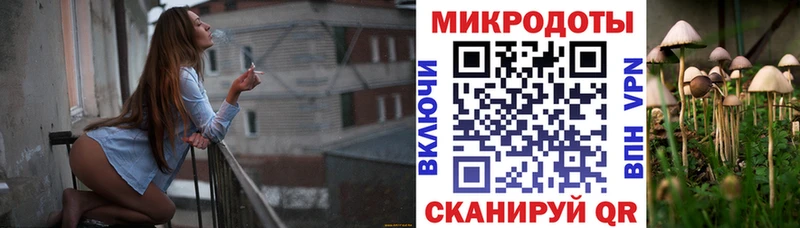 Псилоцибиновые грибы MAGIC MUSHROOMS  Купить где  Грязи 